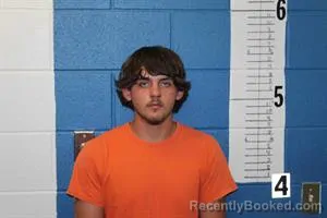 Mugshot of NICKOLAS WALLS booked in Calhoun County, Mississippi on July 24, 2026