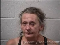 Mugshot of Lori Dawn Ponder booked in Transylvania County, North Carolina on June 22, 2026