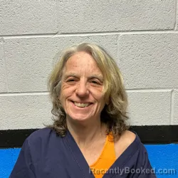 Mugshot of Donna Lynn Owens