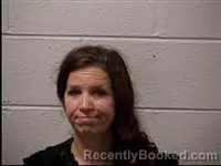 Mugshot of Brandy Nicole Whitaker booked in Transylvania County, North Carolina on June 29, 2026