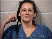Mugshot of Jessica Ambrosio Anderson booked in Transylvania County, North Carolina on June 3, 2026