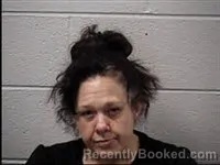Mugshot of Vanissa Diane Landers booked in Transylvania County, North Carolina on May 12, 2026
