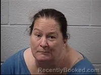 Mugshot of Nicole Michelle Baker booked in Transylvania County, North Carolina on July 20, 2026