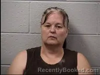 Mugshot of Patty Lynn Lamm booked in Transylvania County, North Carolina on May 27, 2026