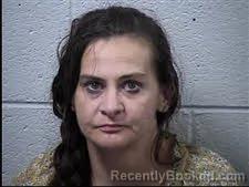 Booking photo from Transylvania County, North Carolina
