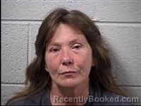 Mugshot of Felecia Rene Owen booked in Transylvania County, North Carolina on June 2, 2026