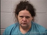 Mugshot of Erica Ellen Holstein booked in Transylvania County, North Carolina on August 9, 2026