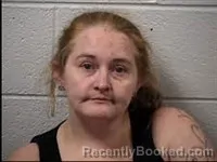 Mugshot of Patricia Elizabeth Purcell booked in Transylvania County, North Carolina on March 29, 2026