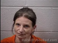 Mugshot of Natasha Belle Kirkland booked in Transylvania County, North Carolina on July 29, 2026