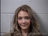 Mugshot of Tylier Shea Fisher booked in Transylvania County, North Carolina on July 21, 2026