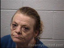 Mugshot of Sandra Lynn Hunter