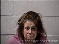 Mugshot of Donna Ann Pullen booked in Transylvania County, North Carolina on April 6, 2026