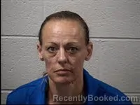Mugshot of Jawanna Michelle Cochran booked in Transylvania County, North Carolina on July 11, 2026