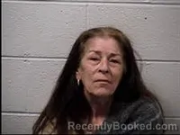 Mugshot of Lisa Rene Schrader booked in Transylvania County, North Carolina on July 2, 2026