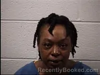 Mugshot of Ashley Raven Stinson booked in Transylvania County, North Carolina on June 3, 2026