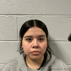 Mugshot of Vivian Nayeli Zuniga