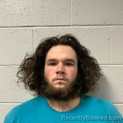 Mugshot of Levi Cain Alexander Palmer