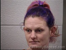 Mugshot of Lisa Marie Purdy