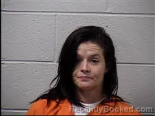 Mugshot of Heather Nicole Steele