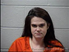 Mugshot of Stacey Cameron Hoyle Lowe