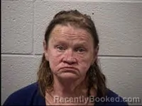 Mugshot of Debbie Lynn Laney booked in Transylvania County, North Carolina on March 31, 2026