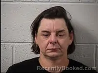 Mugshot of Steven Joseph Fice booked in Transylvania County, North Carolina on April 12, 2026