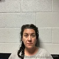 Mugshot of Ashley Taylor Dinatale booked in Transylvania County, North Carolina on May 22, 2026