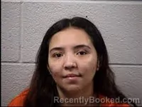 Mugshot of Estefany Paola Gutierrez booked in Transylvania County, North Carolina on June 2, 2026