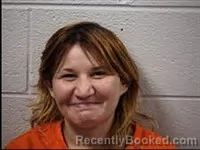 Mugshot of Samantha Nicole Namotka booked in Transylvania County, North Carolina on June 2, 2026