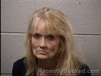 Mugshot of Sandra Joanne Adams booked in Transylvania County, North Carolina on June 11, 2026
