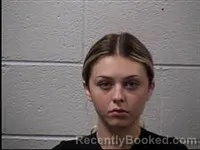 Mugshot of Brooke Diem Hansell booked in Transylvania County, North Carolina on June 21, 2026