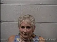 Mugshot of Annettee Jean Tuck booked in Transylvania County, North Carolina on June 29, 2026