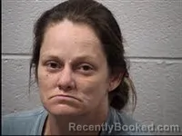 Mugshot of Amy Marie Law booked in Transylvania County, North Carolina on July 10, 2026