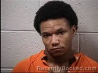 Mugshot of Xavieryan Semaj Harvey booked in Transylvania County, North Carolina on July 10, 2026