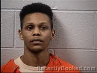 Mugshot of Tyquan Tavious Brown booked in Transylvania County, North Carolina on July 10, 2026
