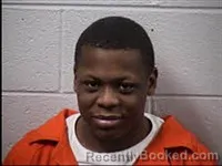 Mugshot of Tizell Jazziz Powell booked in Transylvania County, North Carolina on July 10, 2026