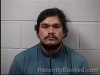 Mugshot of Irving Daniel Juarez booked in Transylvania County, North Carolina on July 14, 2026