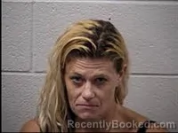 Mugshot of Lesli Ann Wilbur booked in Transylvania County, North Carolina on July 18, 2026