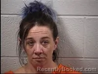 Mugshot of Ashley Brooke Harris booked in Transylvania County, North Carolina on July 29, 2026