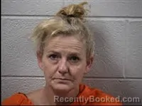 Mugshot of Amy Katherine Breedlove booked in Transylvania County, North Carolina on July 29, 2026