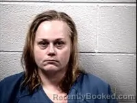 Mugshot of Michelle Elizabeth Wilson booked in Transylvania County, North Carolina on August 31, 2026