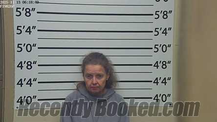 Mugshot of DIANA CAROL PARKER booked in Clay County, Mississippi on April 15, 2026