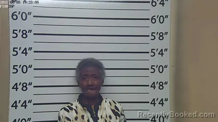 Mugshot of LILLIAN RAMBUS
