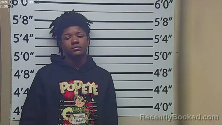 Mugshot of AMARI LYLES