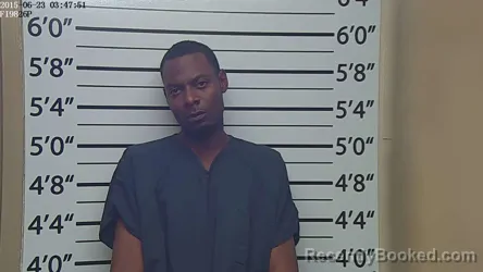 Mugshot of DAN PETERSON