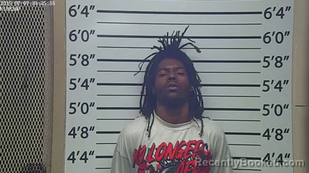 Mugshot of TAIZHON TYREKE LEE