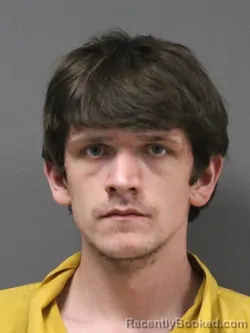 Booking photo from DeSoto County, Mississippi