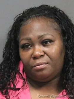 Mugshot of ARETHA SHEWLET EVANS