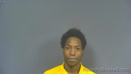Mugshot of ANDRA FLEMING JR