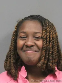 Mugshot of ASHLEY NICOLE MCNEIL booked in DeSoto County, Mississippi on April 25, 2026